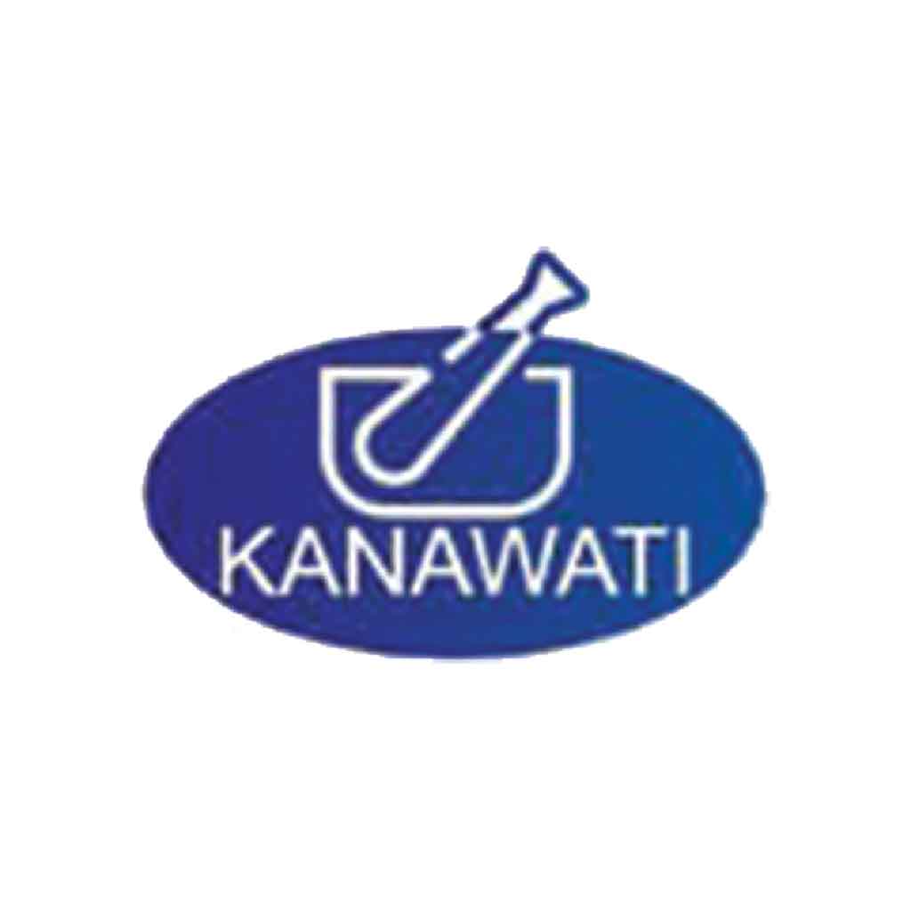 19 Kanawati